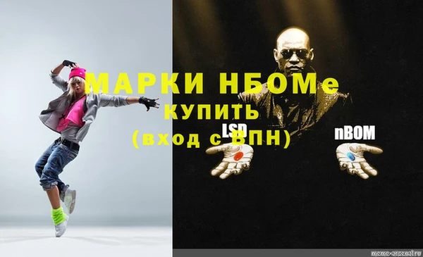 индика Волоколамск