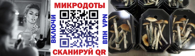 Псилоцибиновые грибы ЛСД  Железноводск 